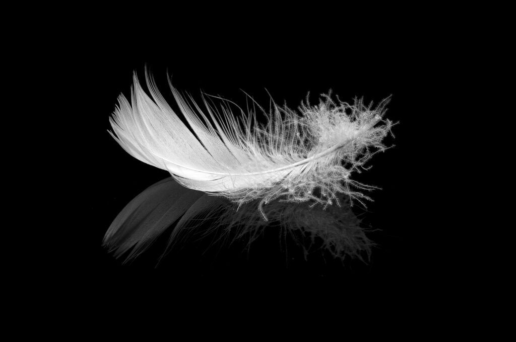 寒くなりました。