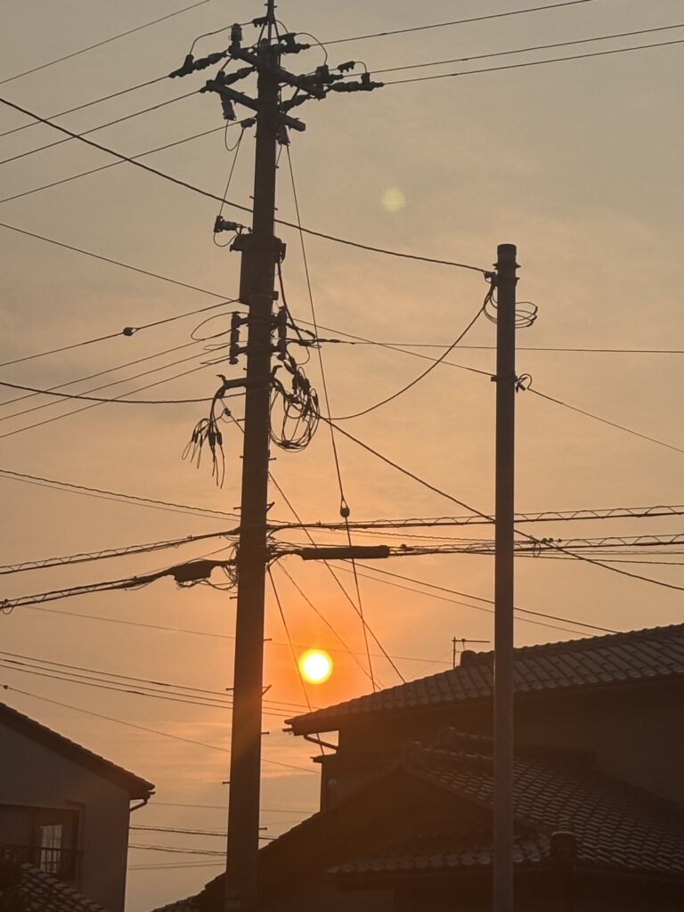 夏ですね。